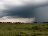 IMG_2858wp750.jpg
