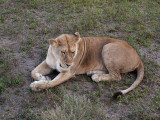 IMG_2861wp750.jpg