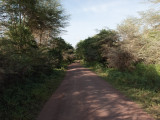 IMG_2885wp750.jpg