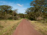 IMG_2888wp750.jpg