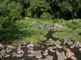IMG_2895wp750.jpg