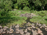 IMG_2896wp750.jpg