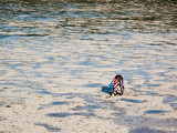 IMG_2901wp750.jpg
