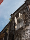 IMG_2986wp750.jpg