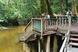 Swimming hole