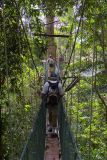 Canopy walk Gunung National Park