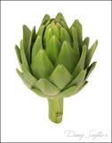 Artichoke