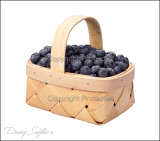 Blueberry Basket