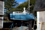 Z-DSC_3662.jpg