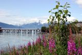 Valdez Harbor