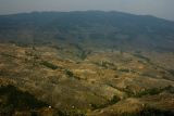 DSC_0856s.jpg
