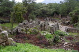 Phaselis