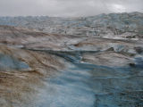 Mendenhall Glacier - 37