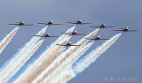 Nine Birds all in a Row