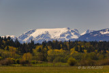 Comox Glacier