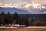 Snow Birds Take Off