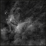 The Prawn nebula - Ha only