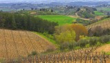 Nearby Castellina in Chianti, Tuscany 