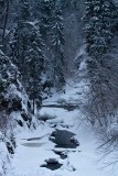 The Lysaker river, Oslo