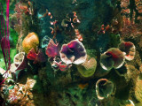 Seascape 2