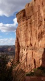 Cathedral Rock view