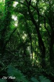 DSC_5961.jpg