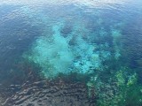 The largest freshwater springs in Australasia