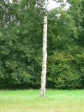 Tipi Field Totem Pole