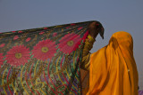 Drying sarees 1.jpg