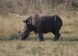 IMG_5883.jpg