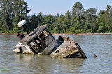 North Arm Fraser River