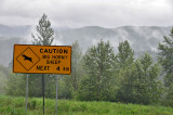 Yep, they do have a sense of humour!