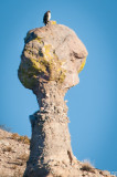 gtb_Taos_Jan 2013-47.jpg