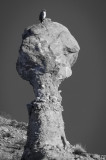 gtb_Taos_Jan 2013-59.jpg