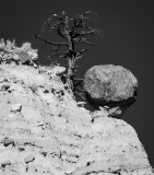 gtb_Taos_Jan 2013-65.jpg