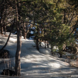 gtb_Taos_Jan 2013-34.jpg