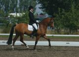 Pernille Sumborg Christensen/ Fuglekildes Macoy