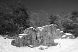 Rocks, Snow, Trees