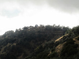 Mount-Hamilton-2012-(101).jpg