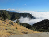 Mount-Hamilton-2012-(43).jpg