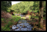 View Upstream