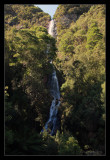 Montezuma Falls From The Suspension Bridge