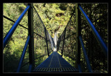 Suspension Bridge