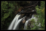 Top Of Falls