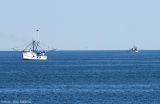 Shrimp Boats