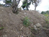 View showing western plateau embankment