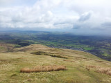 Ochil Hills