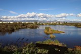 Guadalhorce Estuary