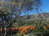 San Jos - view towards Jardn Botnico La Concepcin