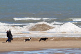 A Day at the Beach